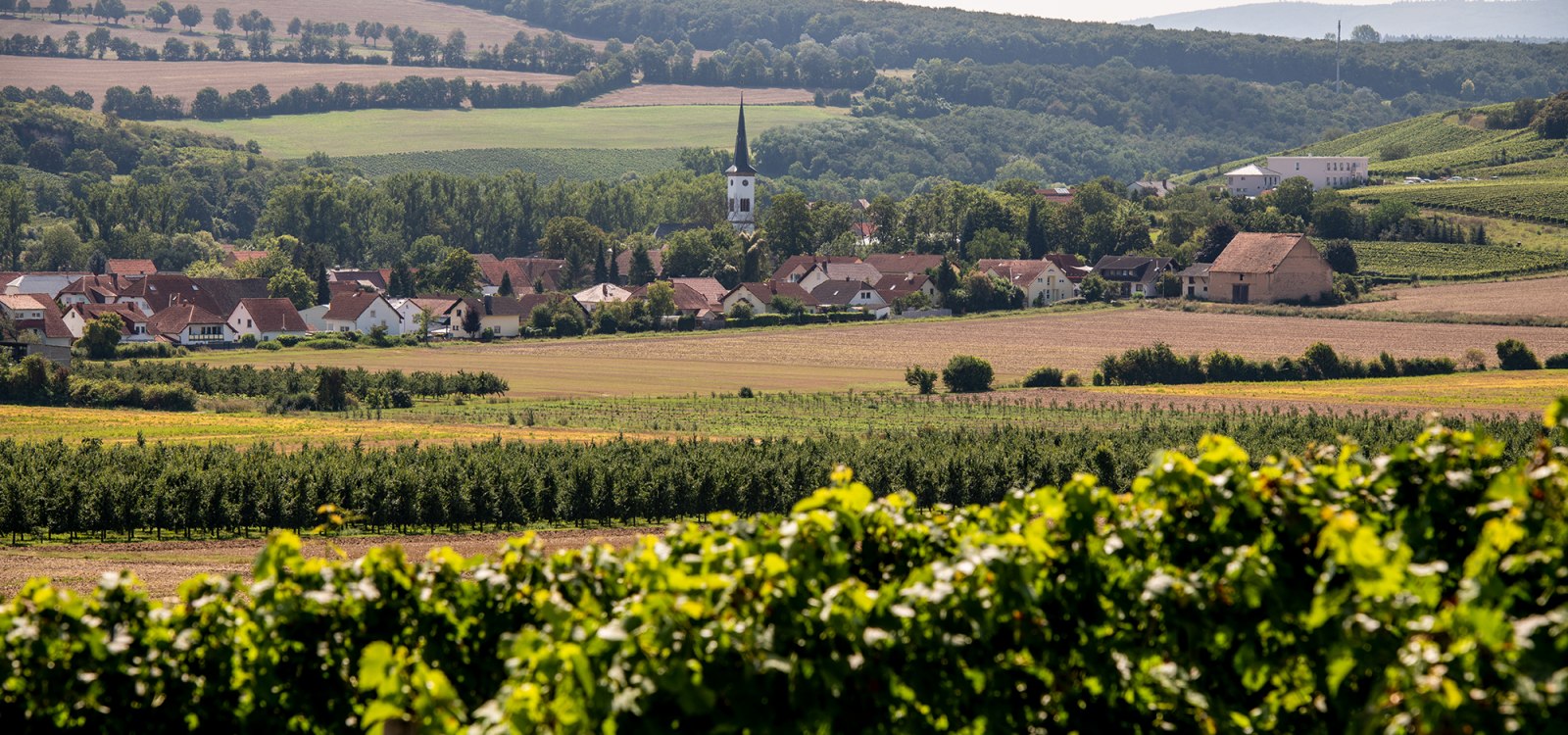 Flonheimer Binger Berg Flonheimer Binger Berg