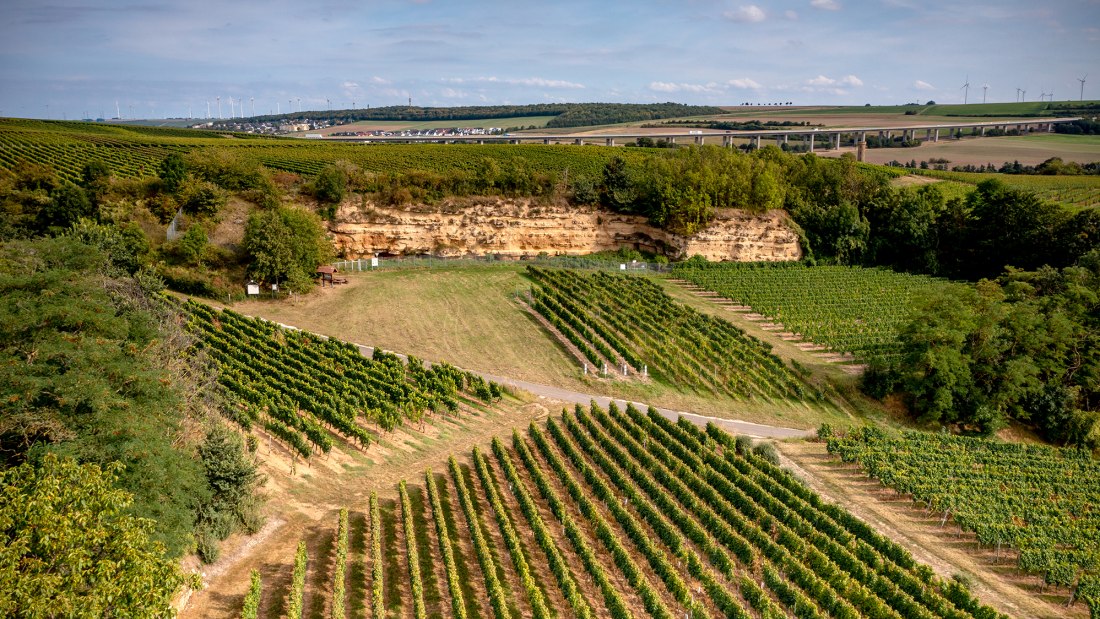 Weinheimer Kapellenberg Weinheimer Kapellenberg