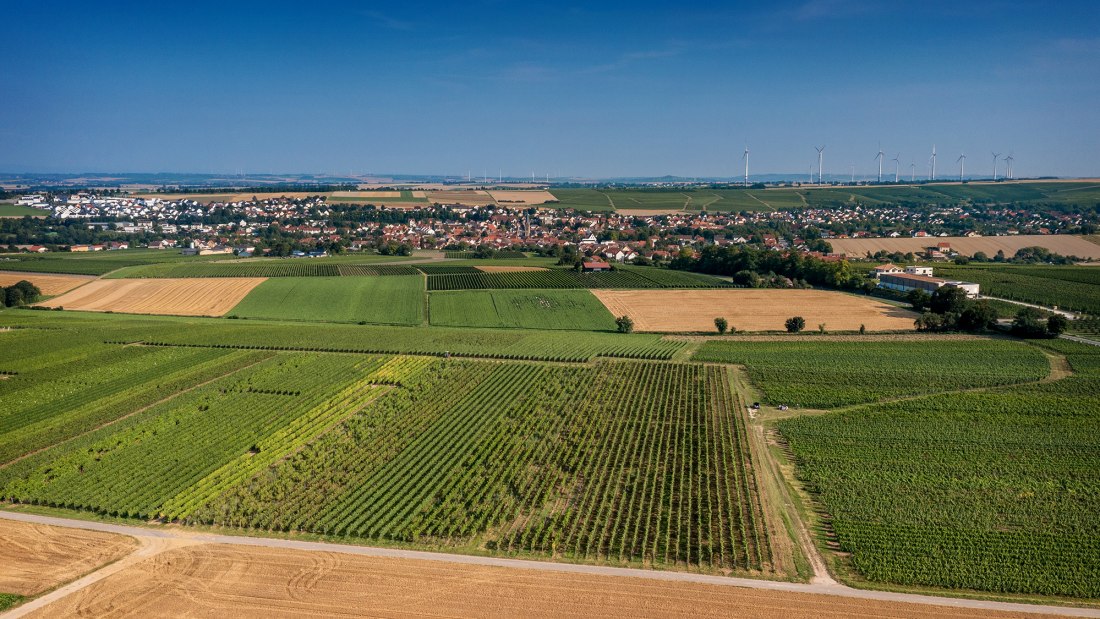 Saulheimer Hölle Saulheimer Hölle