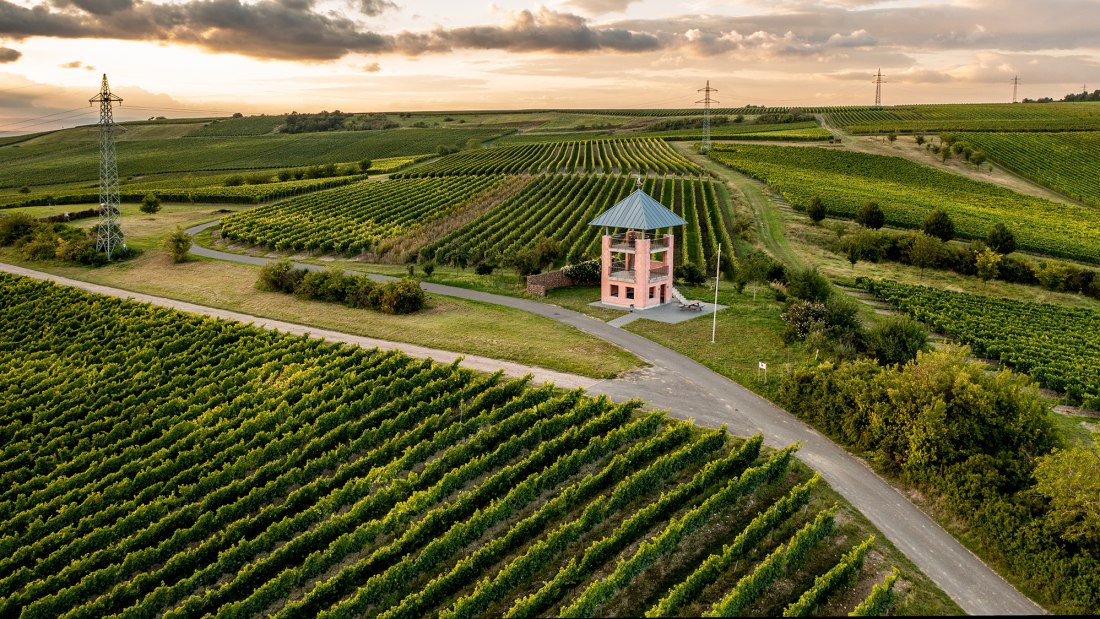 Ensheimer Kachelberg Ensheimer Kachelberg