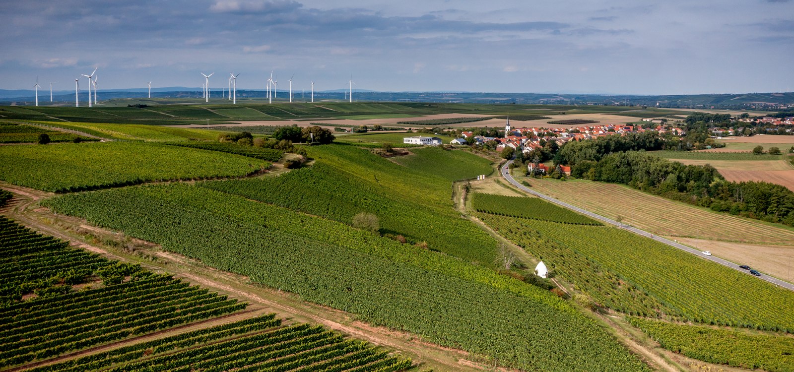 Uffhofener La Roche Uffhofener La Roche