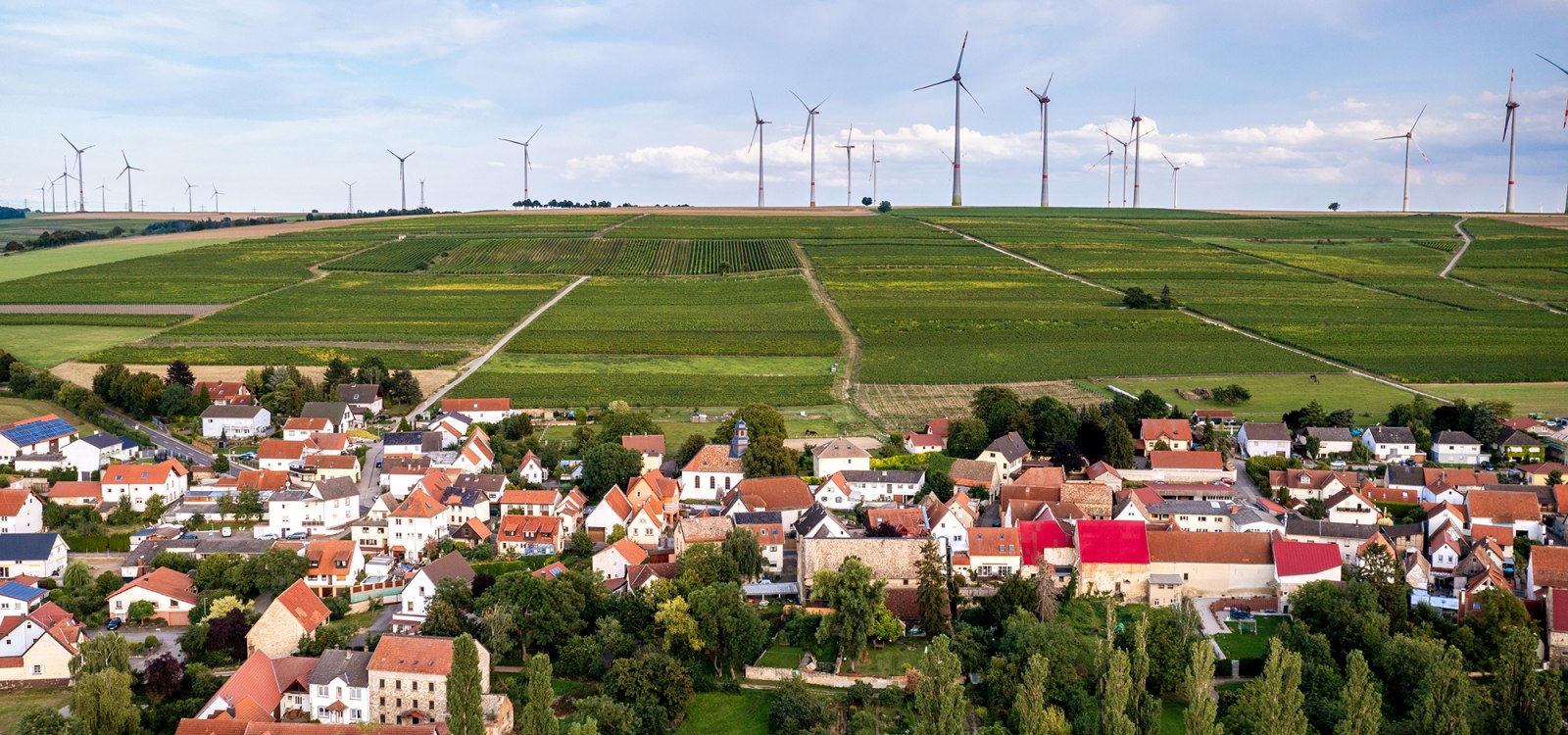 Dautenheimer Himmelacker Dautenheimer Himmelacker