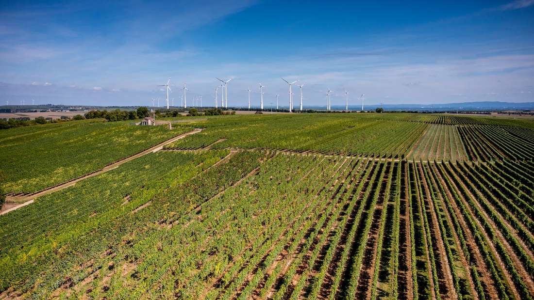 Heßlocher Liebfrauenberg Heßlocher Liebfrauenberg