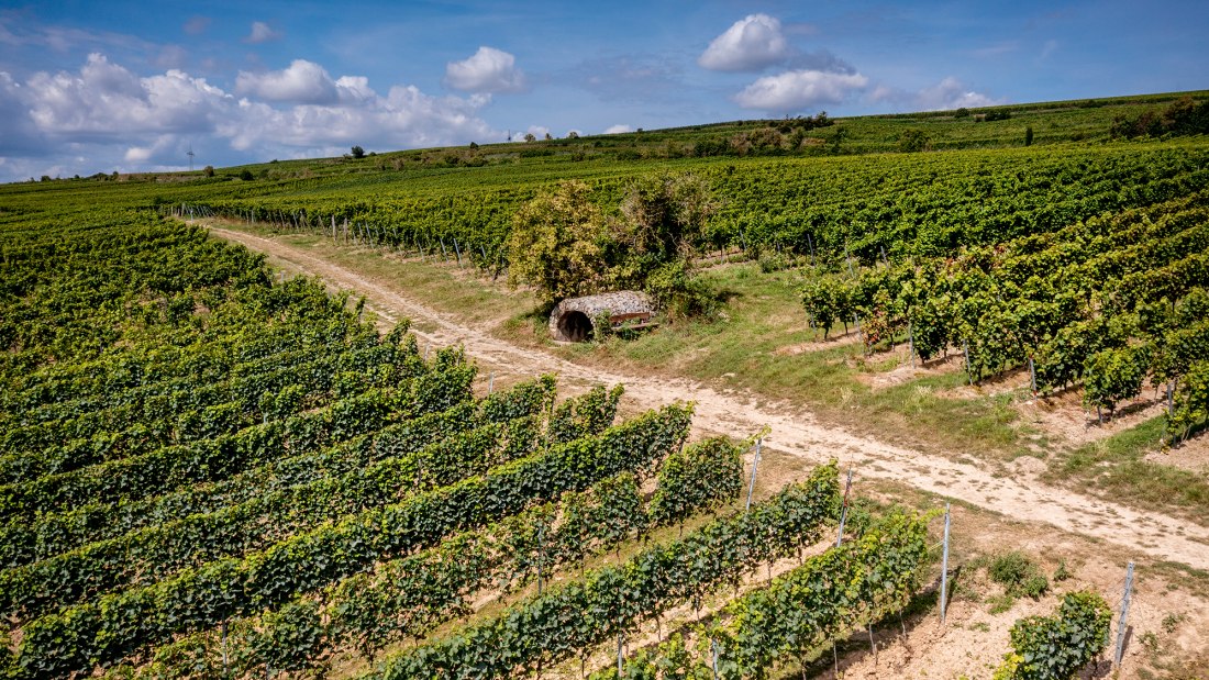 Westhofener Brunnenhäuschen Westhofener Brunnenhäuschen