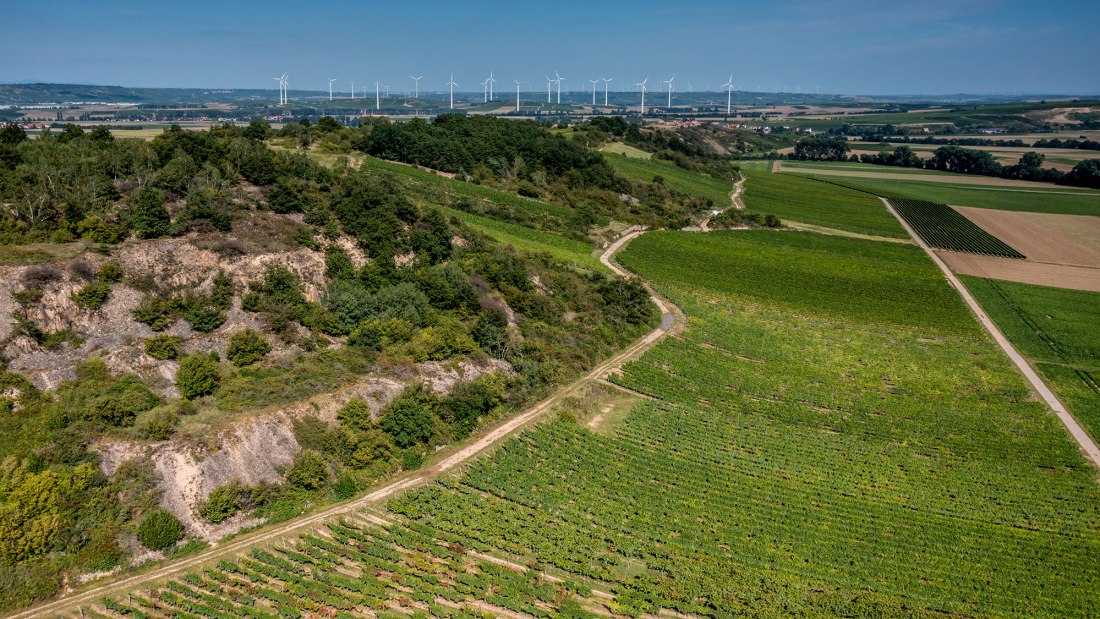 Siefersheimer Heerkretz Siefersheimer Heerkretz