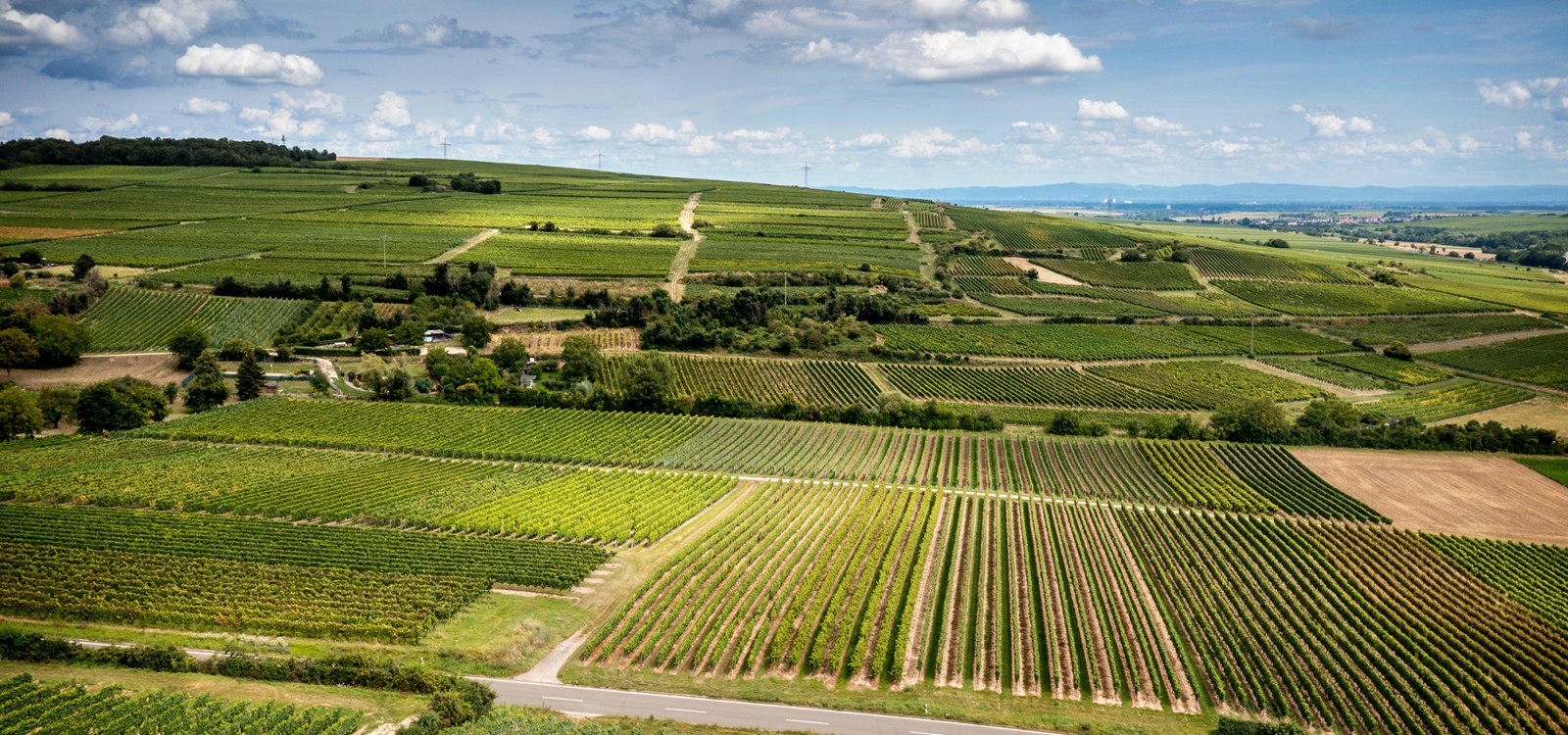 Hangen-Weisheimer Sommerwende Hangen-Weisheimer Sommerwende