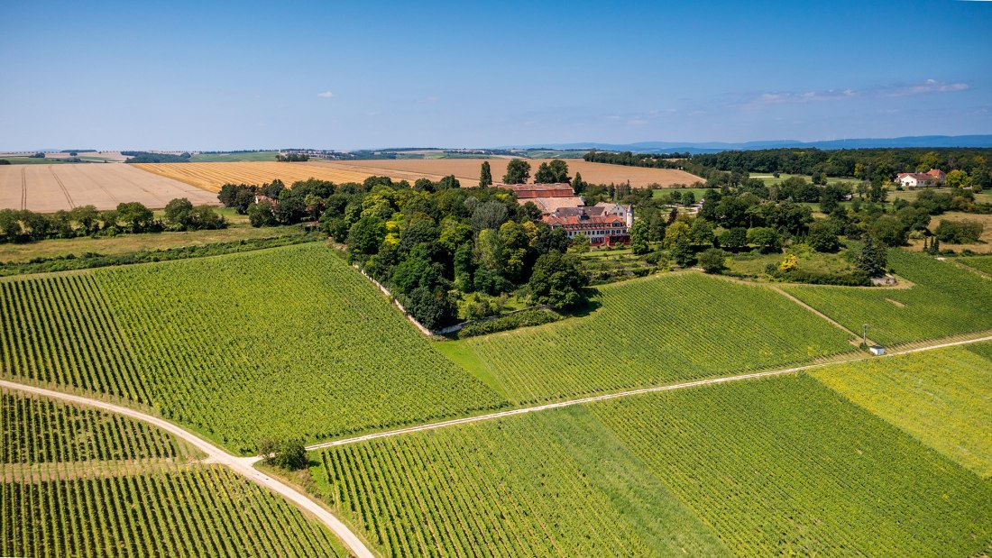 Ingelheimer Schloß Westerhaus Ingelheimer Schloß Westerhaus