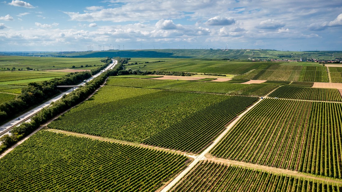 Gundheimer Mandelbrunnen Gundheimer Mandelbrunnen