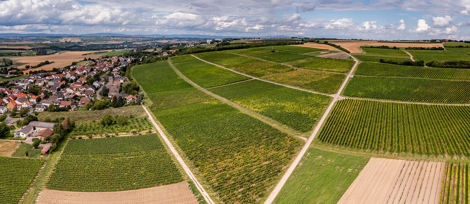 Sörgenlocher Moosberg Sörgenlocher Moosberg