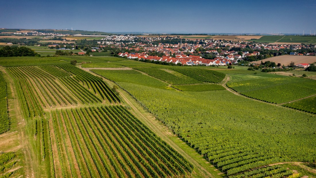 Saulheimer Hölle Saulheimer Hölle