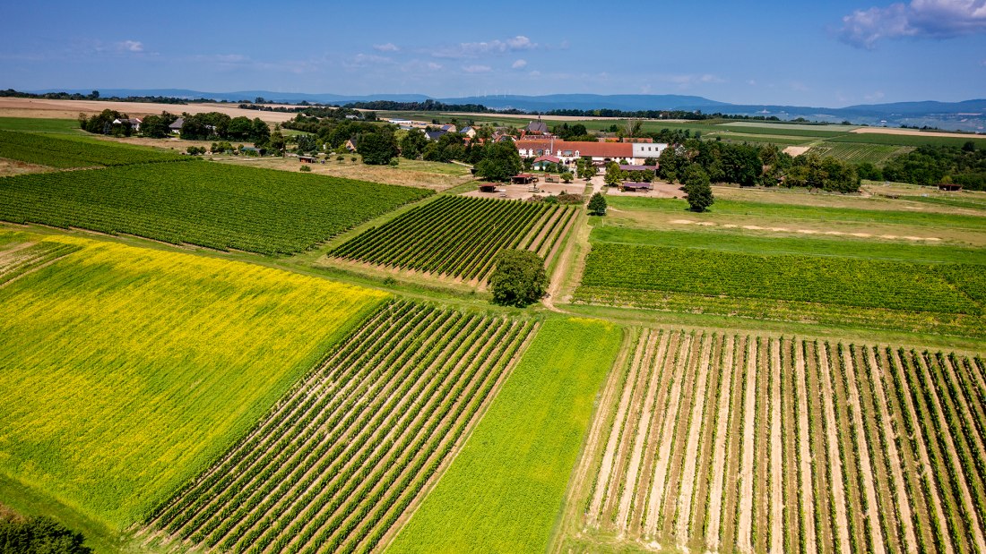 Gau-Algesheimer St. Laurenzi-Kapelle Gau-Algesheimer St. Laurenzi-Kapelle