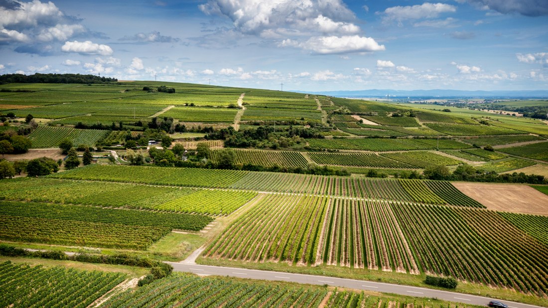 Hangen-Weisheimer Sommerwende Hangen-Weisheimer Sommerwende