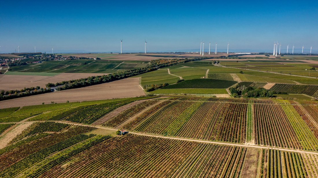 Biebelnheimer Rosengarten Biebelnheimer Rosengarten