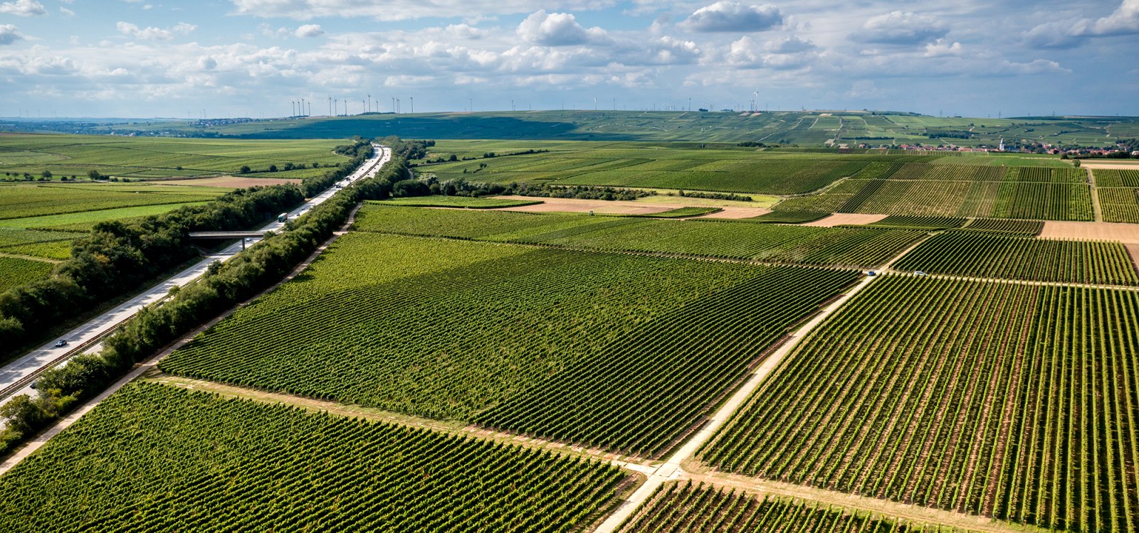 Gundheimer Mandelbrunnen Gundheimer Mandelbrunnen