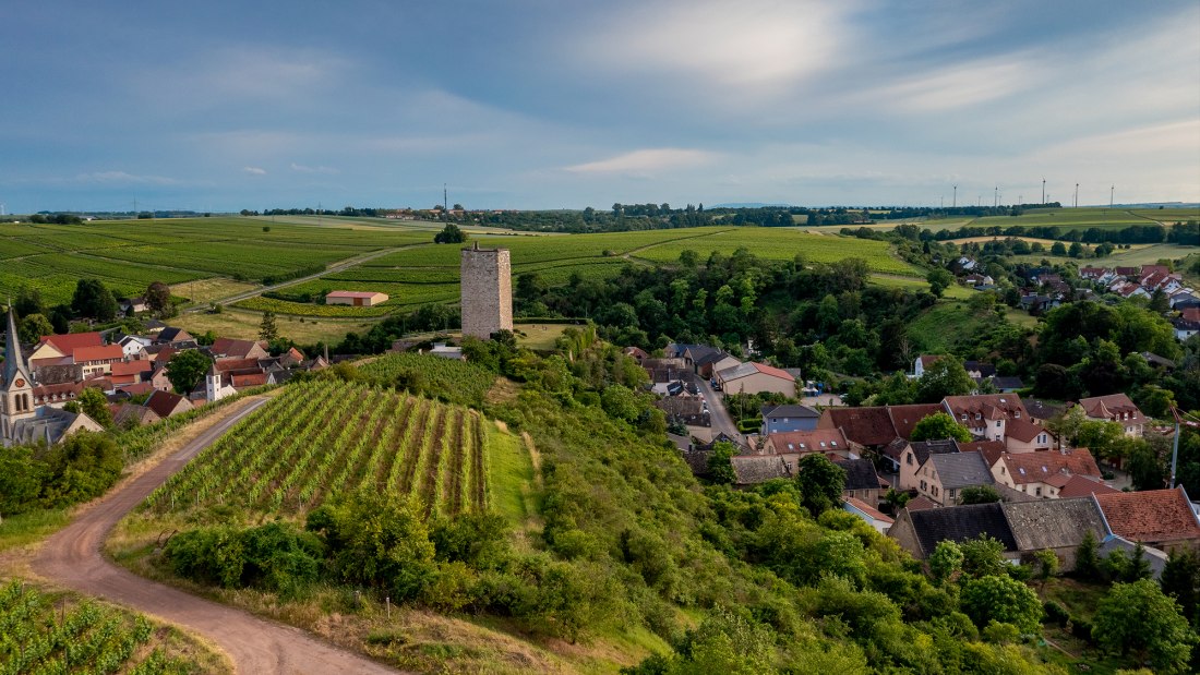 Niersteiner Schloß Schwabsburg Niersteiner Schloß Schwabsburg