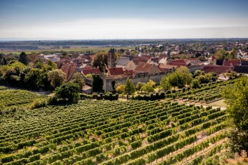 Dahlsheimer Bürgel, © Torsten Silz Dahlsheimer Bürgel, © Torsten Silz