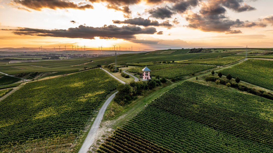 Ensheimer Kachelberg Ensheimer Kachelberg