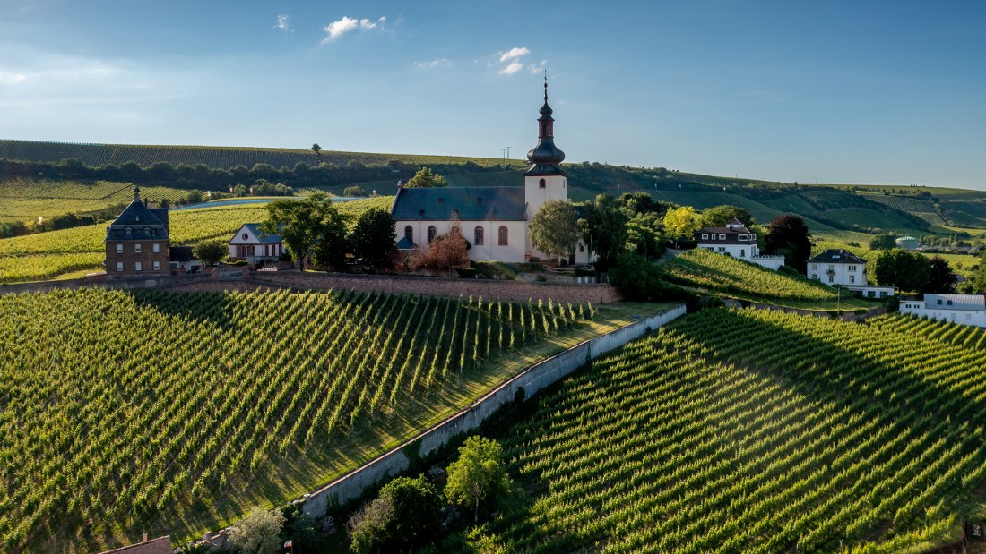 Niersteiner Glöck Niersteiner Glöck