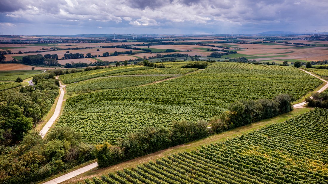 Zornheimer Vogelsang Zornheimer Vogelsang