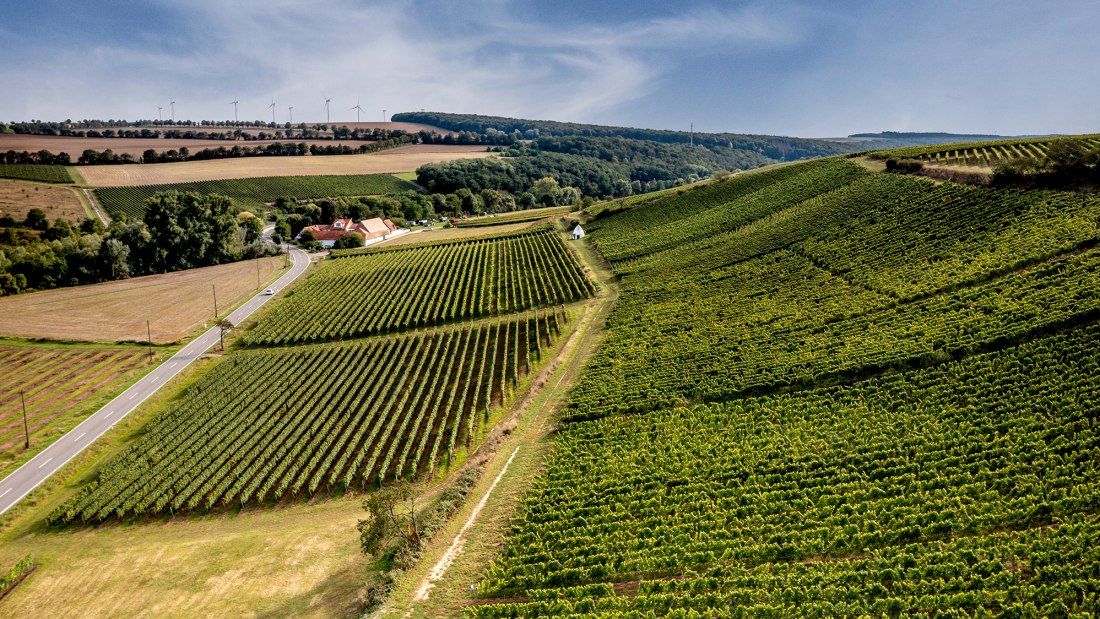 Uffhofener La Roche Uffhofener La Roche