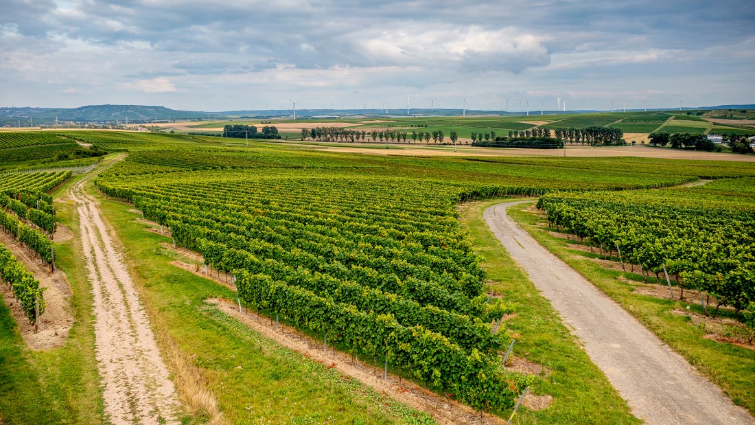 Volxheimer Liebfrau Volxheimer Liebfrau