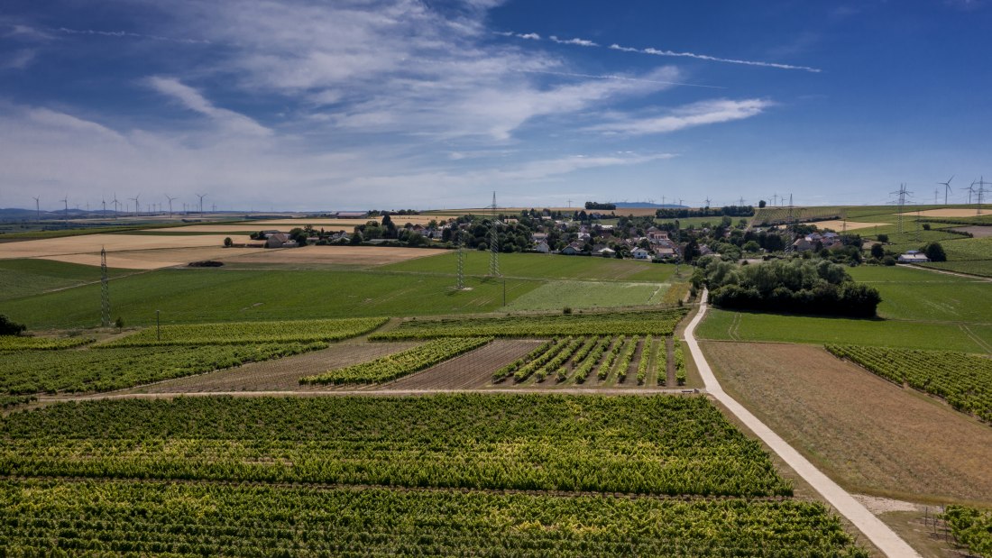 Monzernheimer Goldberg Monzernheimer Goldberg