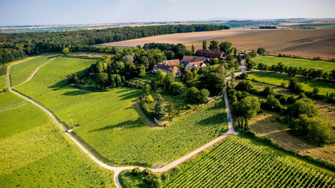 Ingelheimer Schloß Westerhaus Ingelheimer Schloß Westerhaus
