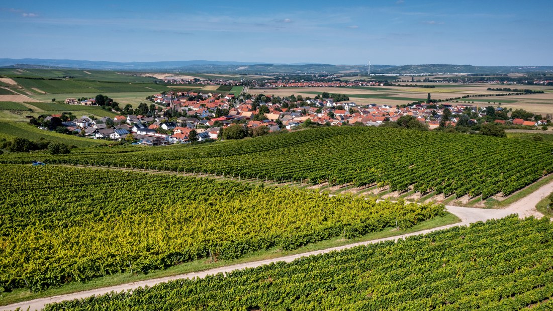 Siefersheimer Heerkretz Siefersheimer Heerkretz