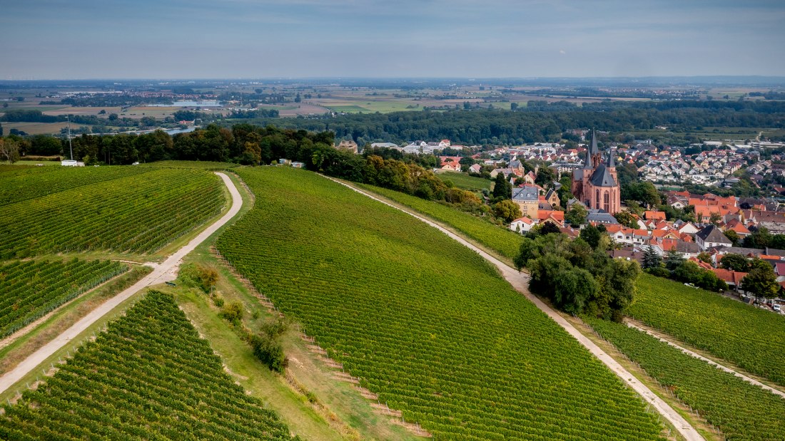 Oppenheimer Herrenberg Oppenheimer Herrenberg