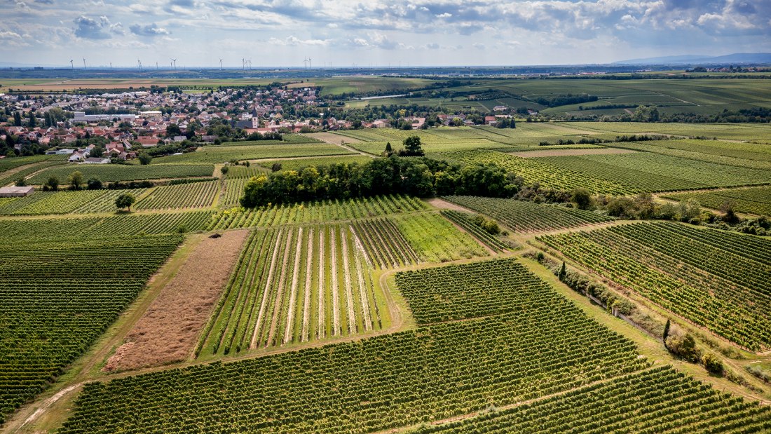 Westhofener Kirchspiel Westhofener Kirchspiel