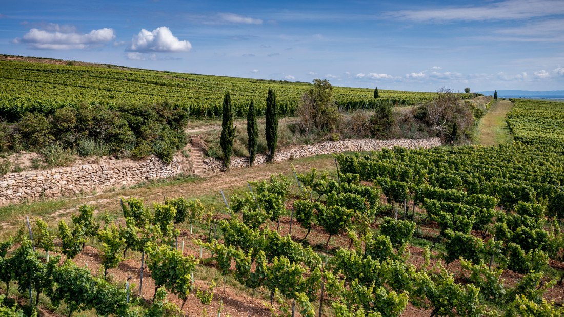 Westhofener Brunnenhäuschen Westhofener Brunnenhäuschen
