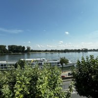 IMG_6973 IMG_6973