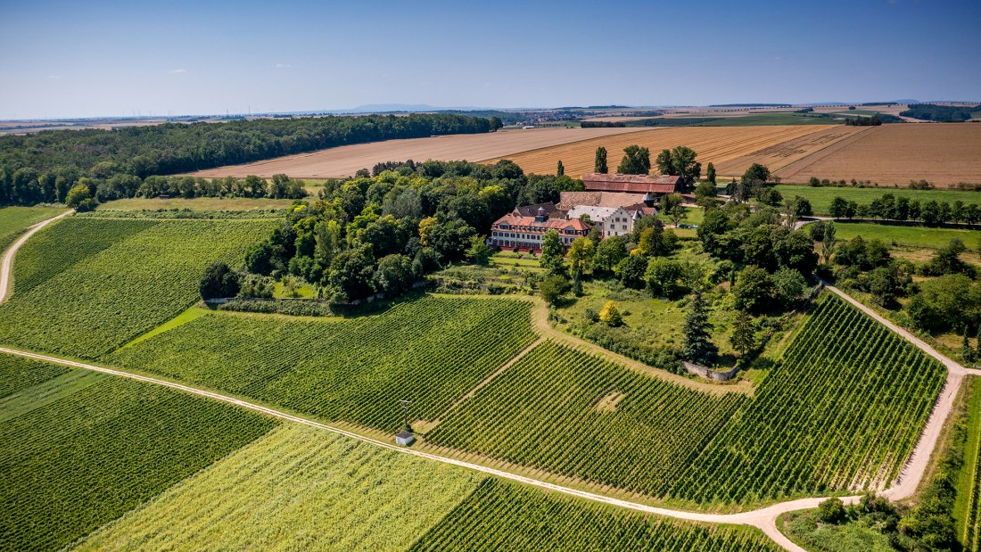 Ingelheimer Schloß Westerhaus Ingelheimer Schloß Westerhaus
