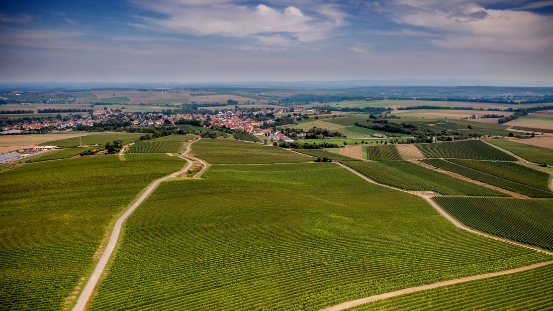 Selzener Osterberg Selzener Osterberg