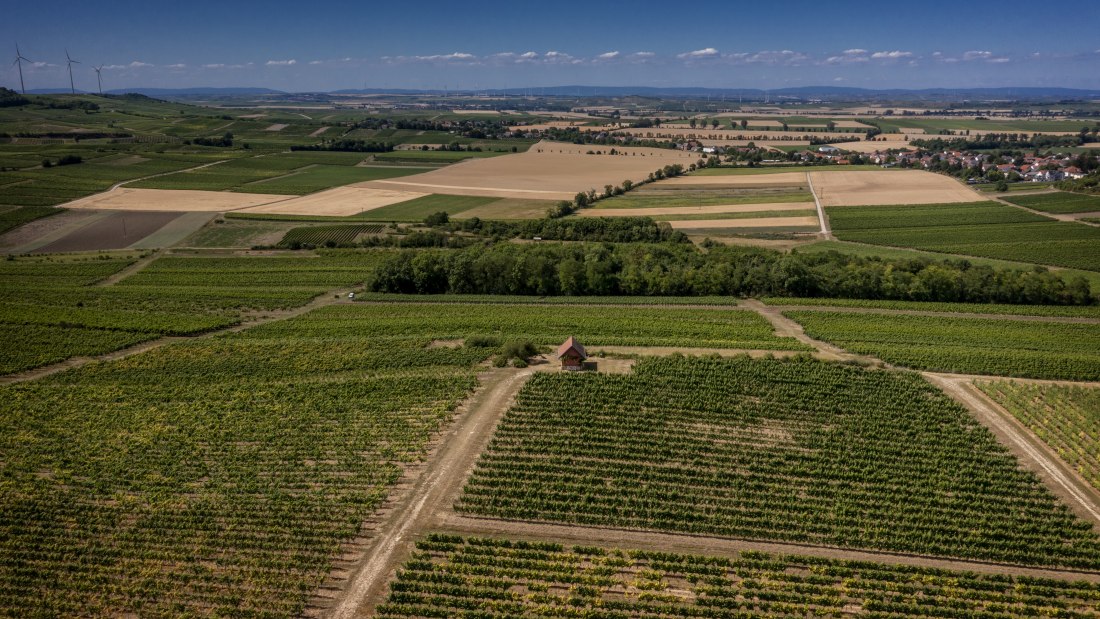 Monzernheimer Goldberg Monzernheimer Goldberg