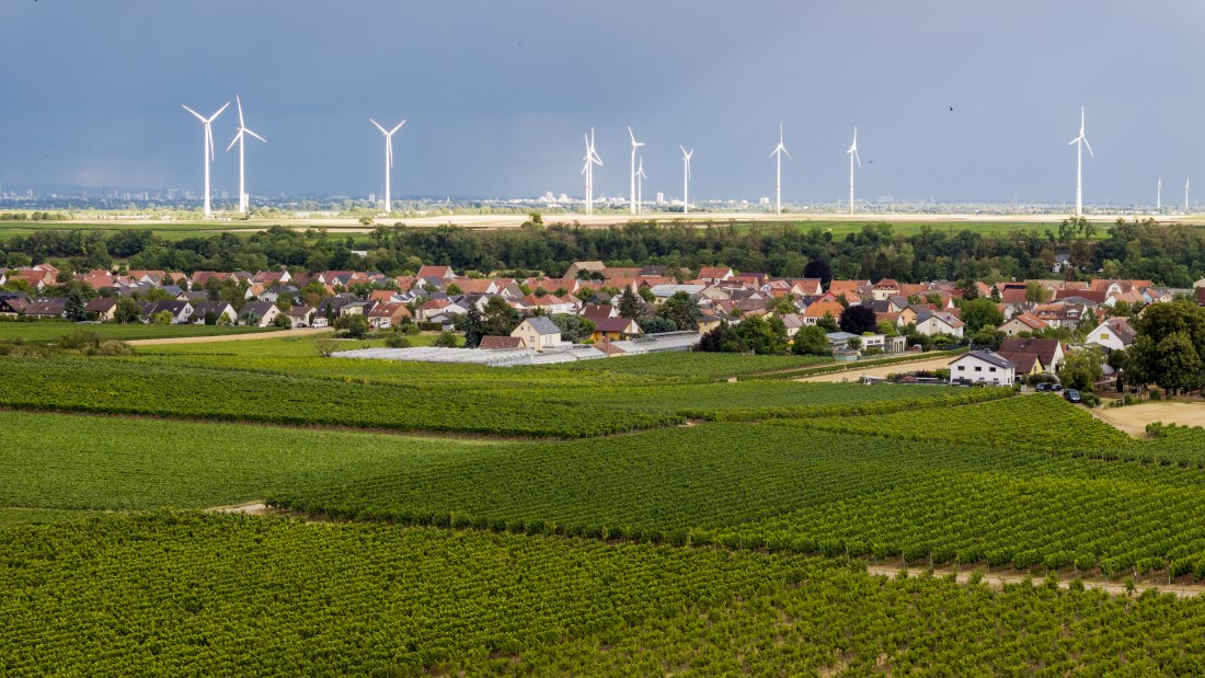 Heppenheimer Affenberg, © Torsten Silz Heppenheimer Affenberg, © Torsten Silz