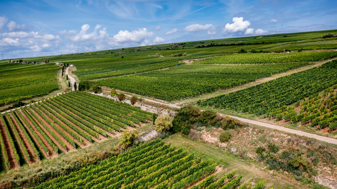 Westhofener Brunnenhäuschen Westhofener Brunnenhäuschen