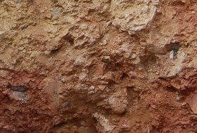 Quarzit Rigosol, © Landesamt für Geologie und Bergbau Rheinland-Pfalz Quarzit Rigosol, © Landesamt für Geologie und Bergbau Rheinland-Pfalz