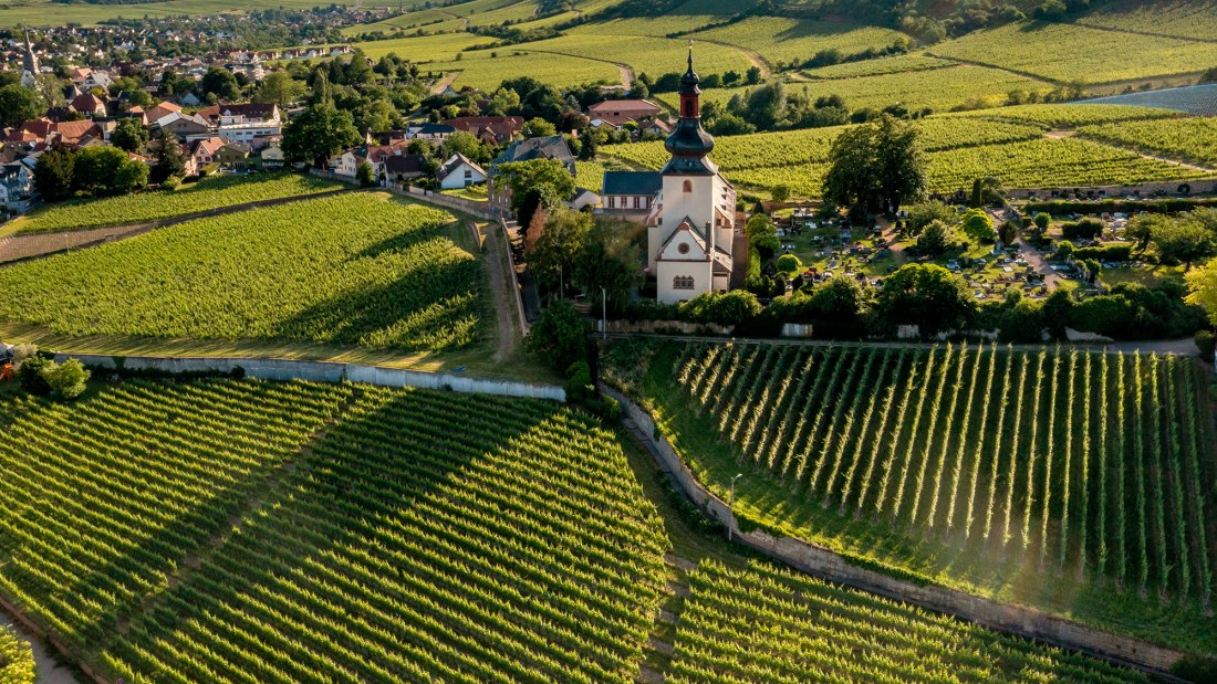 Niersteiner Glöck Niersteiner Glöck