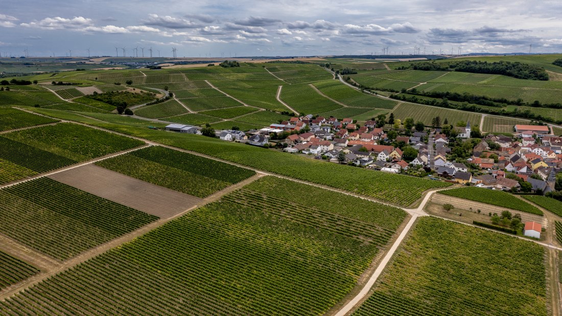 Lonsheimer Mandelberg Lonsheimer Mandelberg