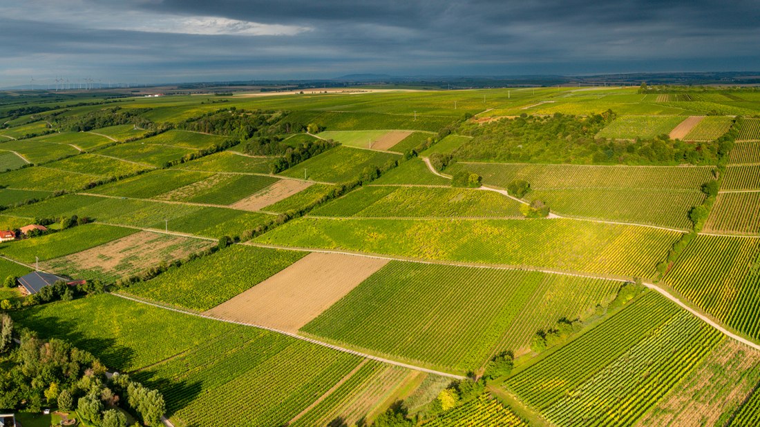 Oppenheimer Sackträger Oppenheimer Sackträger