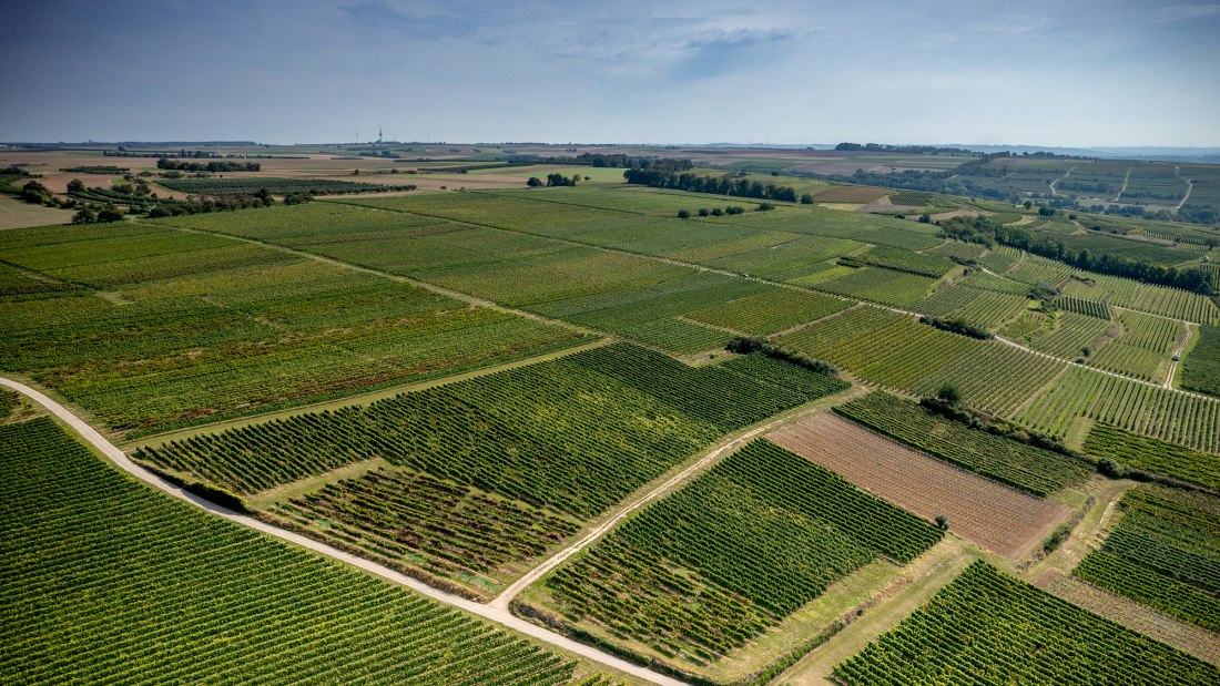 Groß-Winternheimer Bockstein Groß-Winternheimer Bockstein