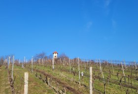 Aussicht Hiebergturm © Tourismus GmbH "Im Herzen Rheinhessens" Aussicht Hiebergturm © Tourismus GmbH "Im Herzen Rheinhessens"