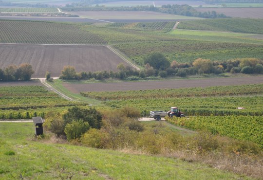 Armsheim Wandern, © E.Arnold Armsheim Wandern, © E.Arnold