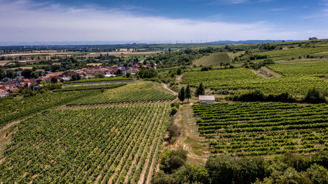 Mettenheimer Schlossberg Mettenheimer Schlossberg