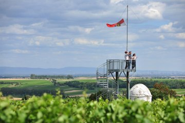 Aussichtturm Flörsheim-Dalsheim, © VG Monsheim Fotograf Carsten Costard Aussichtturm Flörsheim-Dalsheim, © VG Monsheim Fotograf Carsten Costard