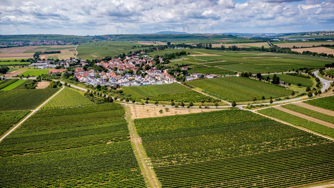 Hohen-Sülzener Kirchenstück Hohen-Sülzener Kirchenstück