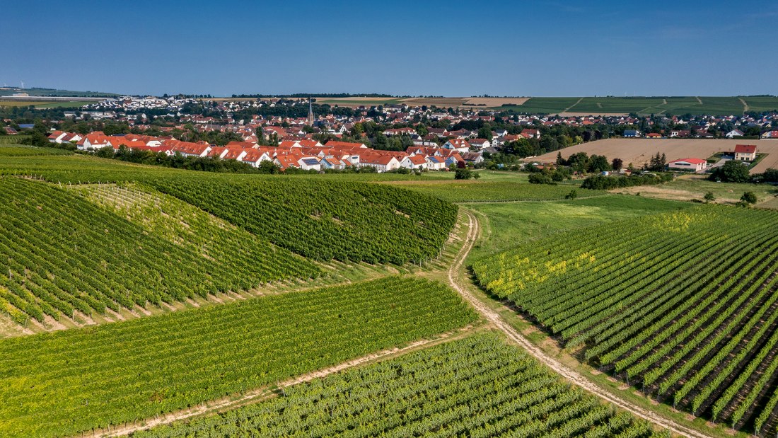 Saulheimer Hölle Saulheimer Hölle