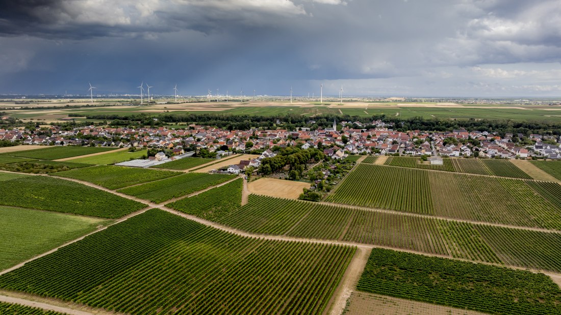 Heppenheimer Affenberg, © Torsten Silz Heppenheimer Affenberg, © Torsten Silz
