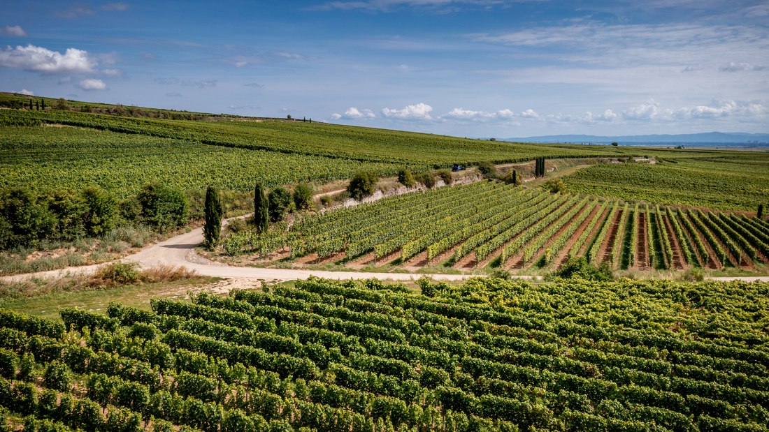 Westhofener Brunnenhäuschen Westhofener Brunnenhäuschen